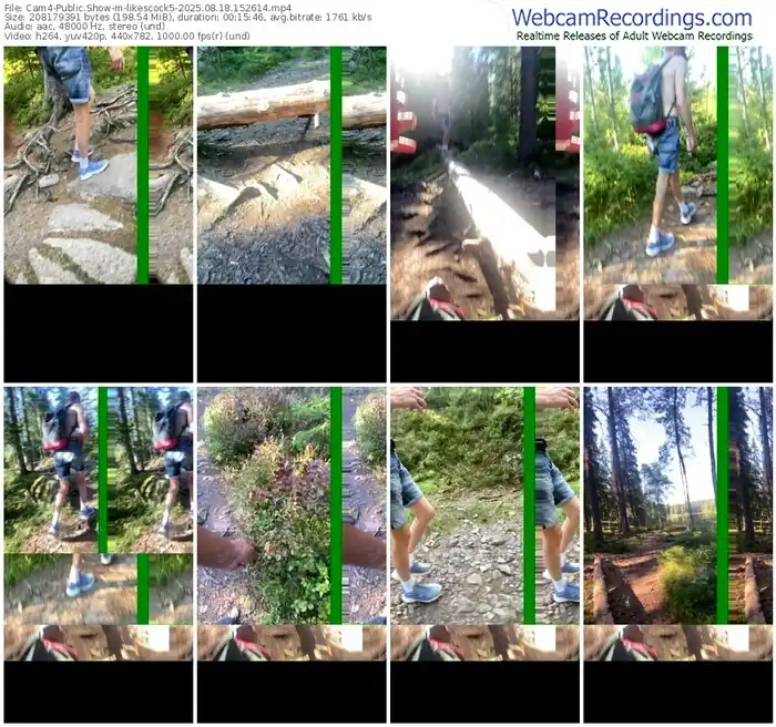 2025/08/18/cam4-likescock5-15-26-14