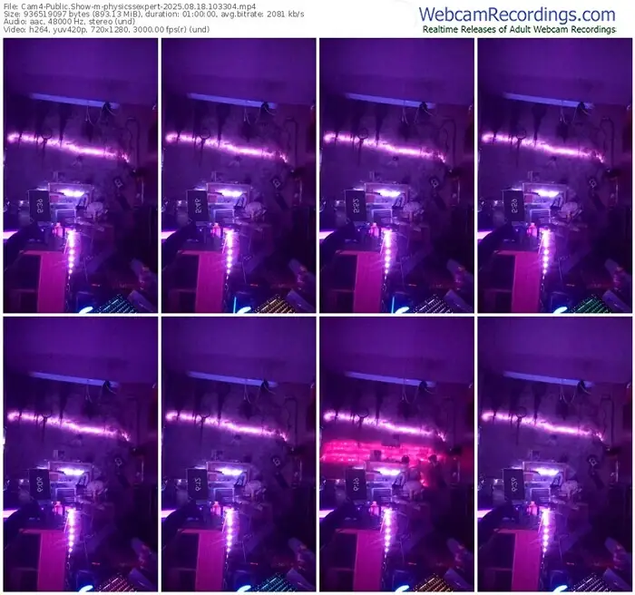 2025/08/18/cam4-physicssexpert-10-33-04