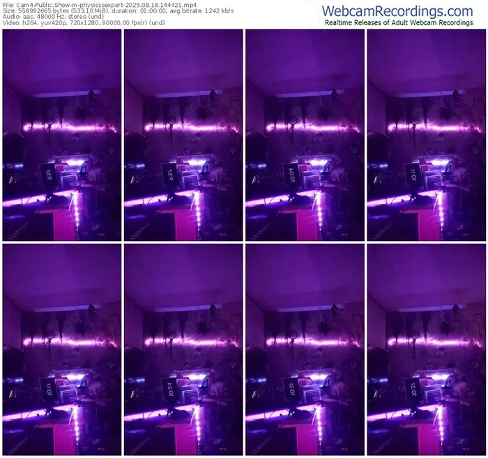 2025/08/18/cam4-physicssexpert-14-44-21