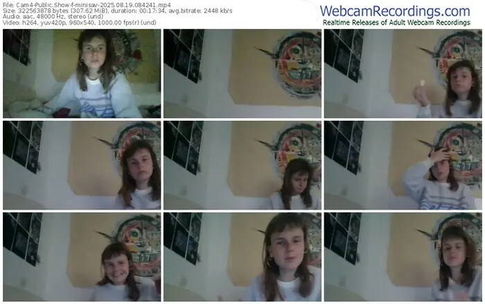 2025/08/19/cam4-minisav-08-42-41