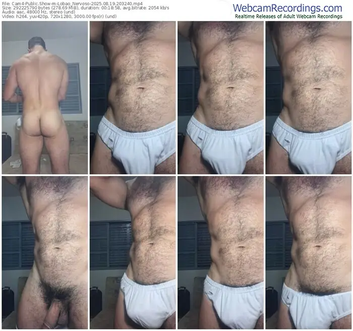2025/08/19/cam4-lobao_nervoso-20-32-40