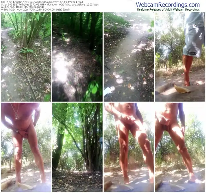 2025/08/19/cam4-saarlandboy07-12-23-44