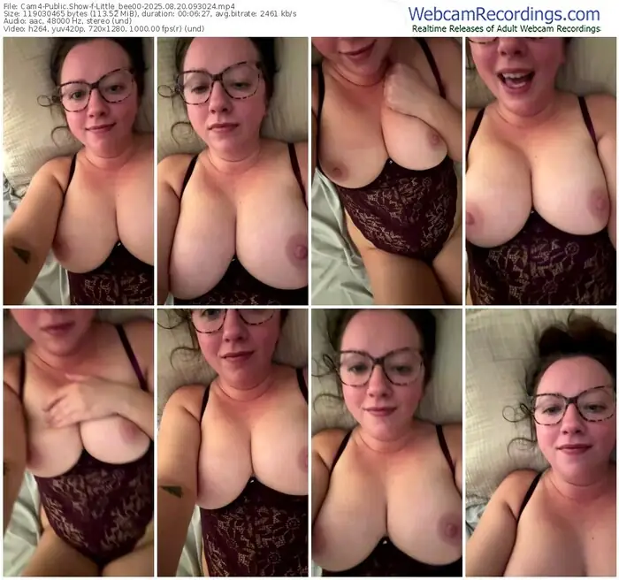 2025/08/20/cam4-little_bee00-09-30-24