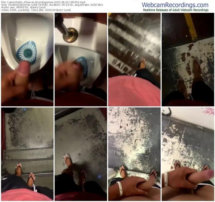 2025/08/20/cam4-alcindogomes-19-53-53