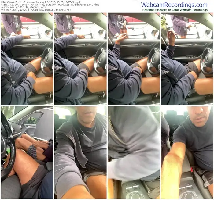 2025/08/20/cam4-likescock5-13-57-43