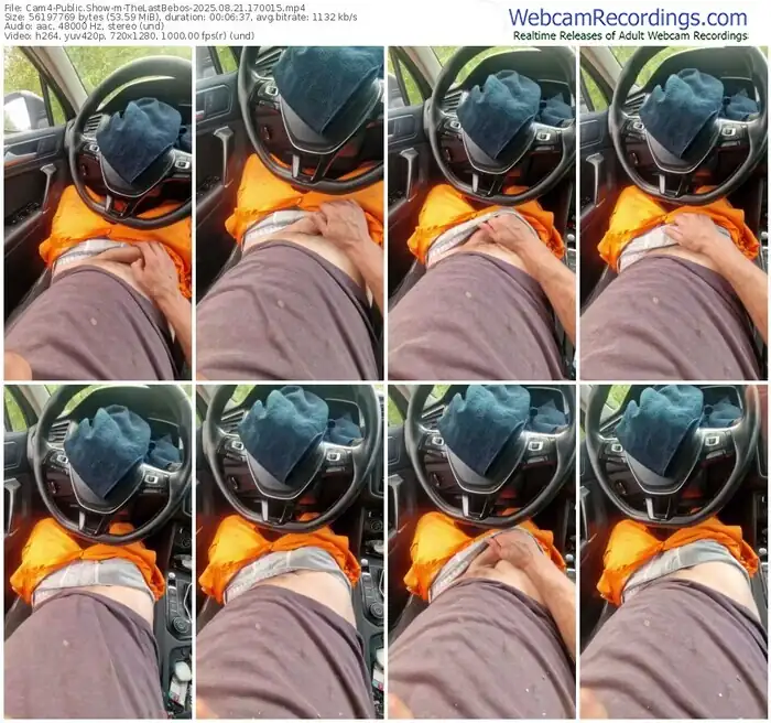 2025/08/21/cam4-thelastbebos-17-00-15