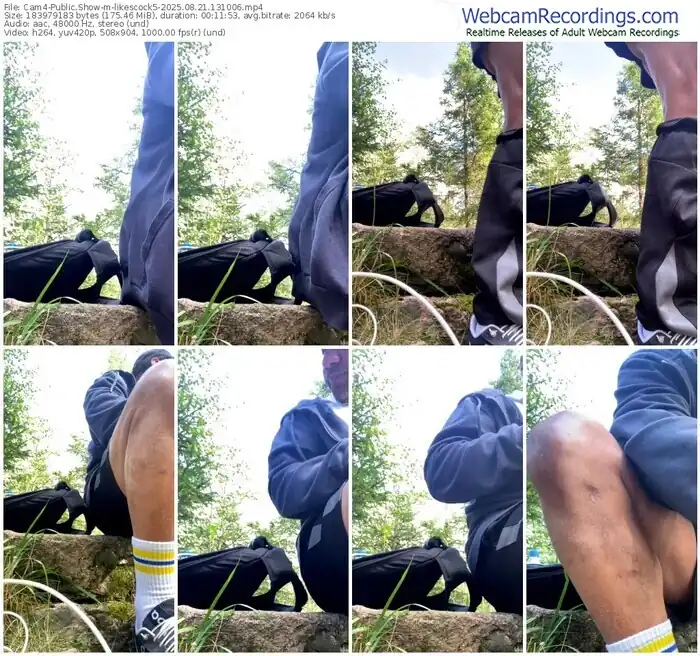 2025/08/21/cam4-likescock5-13-10-06