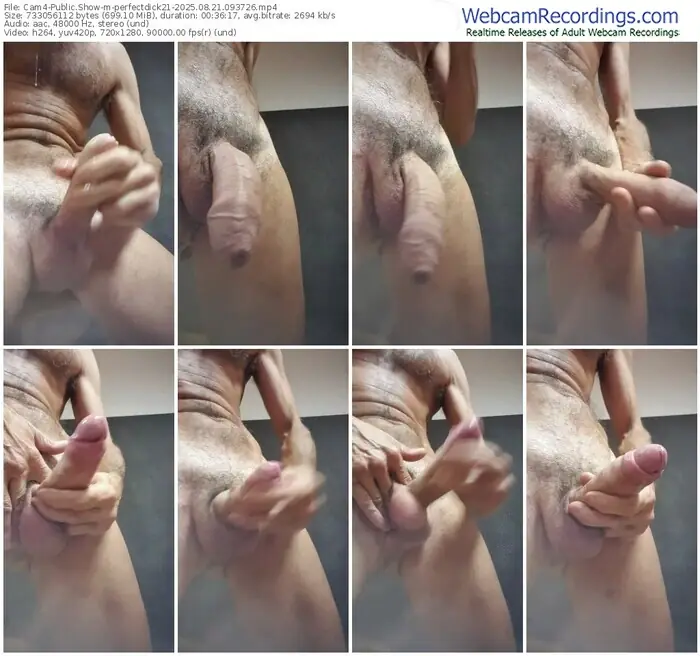 2025/08/21/cam4-perfectdick21-09-37-26