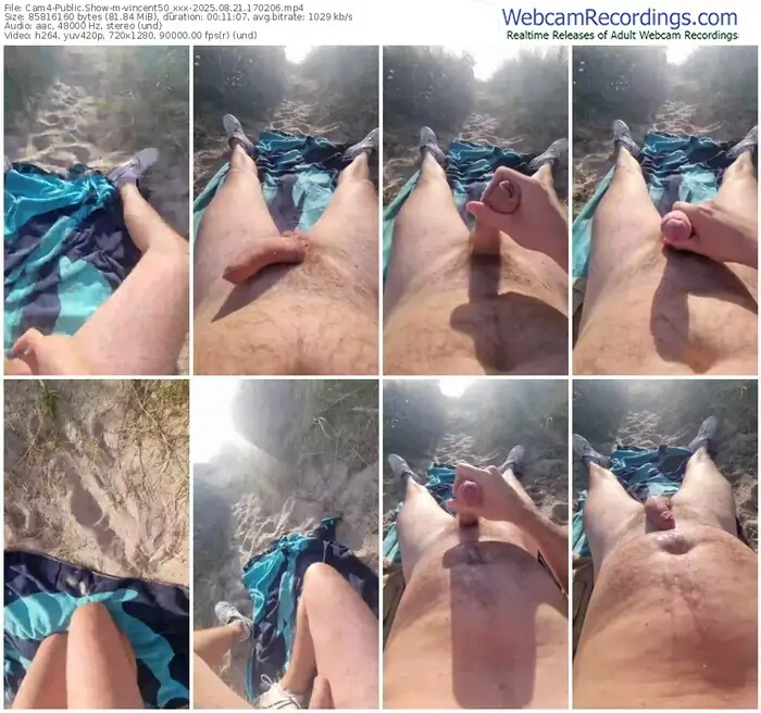 2025/08/21/cam4-vincent50_xxx-17-02-06
