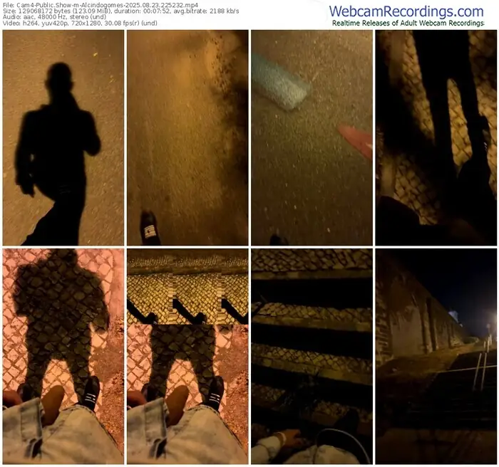 2025/08/23/cam4-alcindogomes-22-52-32