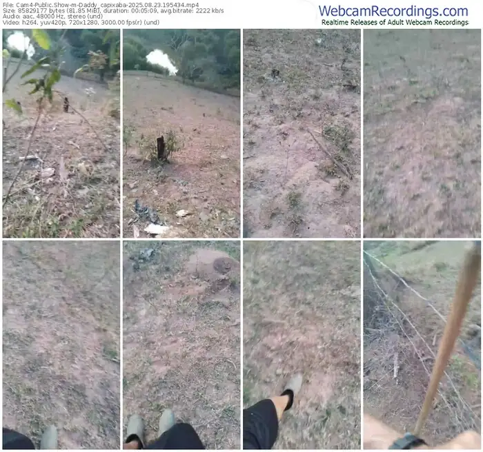 2025/08/23/cam4-daddy_capixaba-19-54-34
