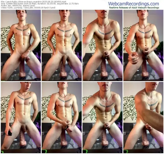 2025/08/23/cam4-bravo_maestro-18-30-50