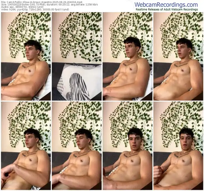 2025/08/23/cam4-bravo_maestro-20-40-34