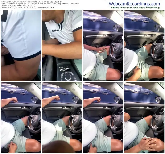 2025/08/23/cam4-likescock5-11-11-48