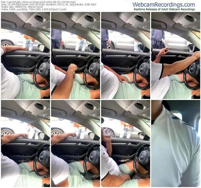 2025/08/23/cam4-likescock5-13-37-56