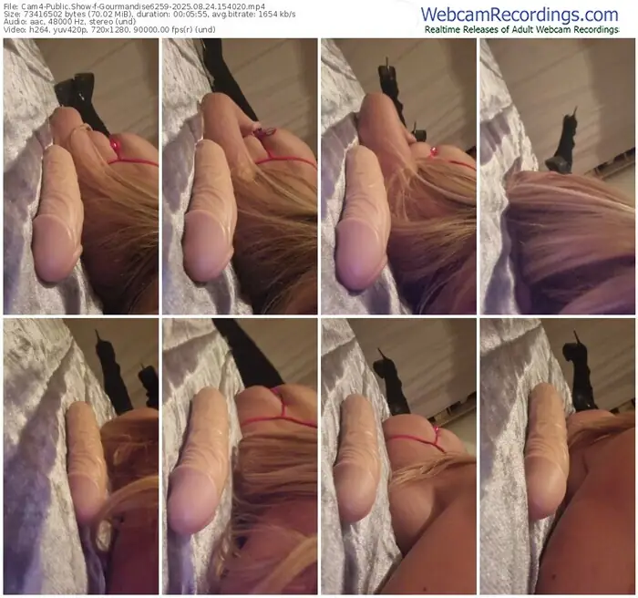 2025/08/24/cam4-gourmandise6259-15-40-20