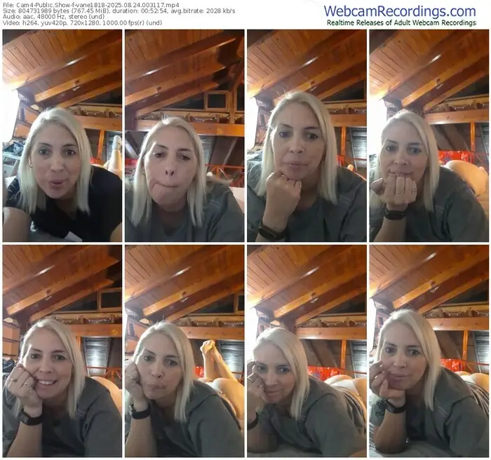 2025/08/24/cam4-vane1818-00-31-17