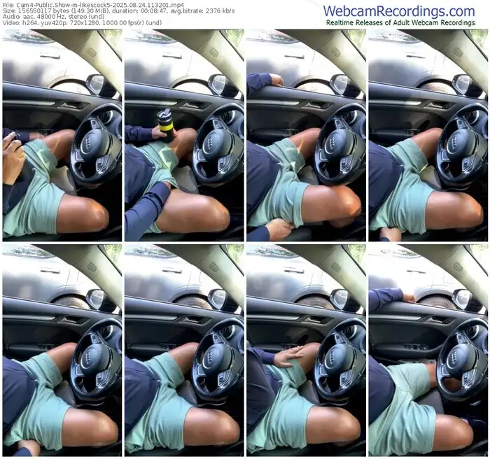 2025/08/24/cam4-likescock5-11-32-01