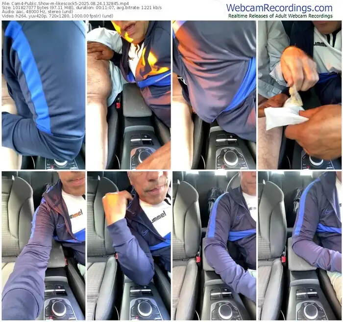 2025/08/24/cam4-likescock5-13-28-45