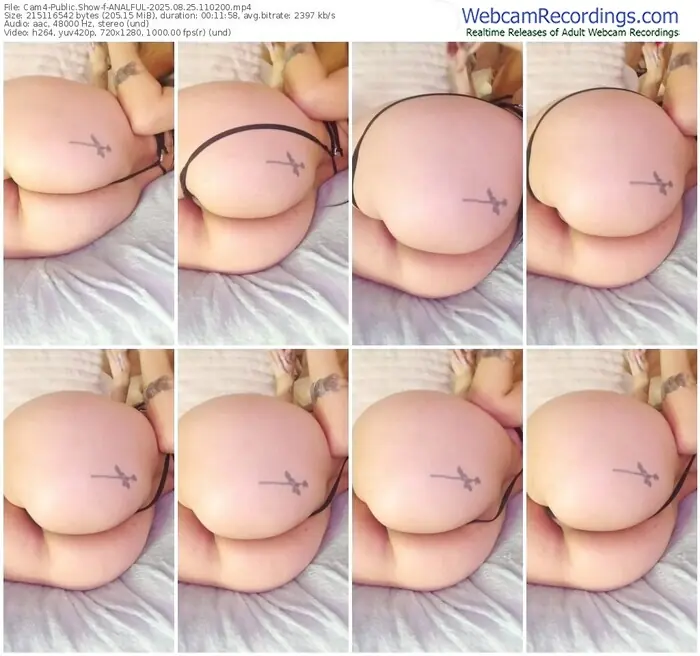 2025/08/25/cam4-analful-11-02-00