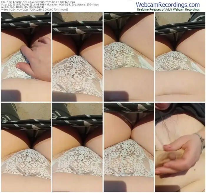 2025/08/25/cam4-yumeko88-00-24-48