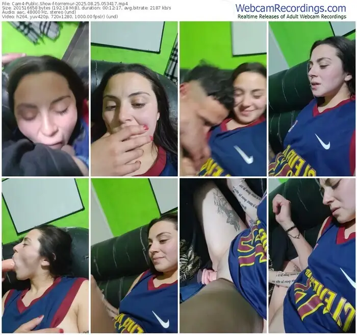 2025/08/25/cam4-torremur-05-34-17