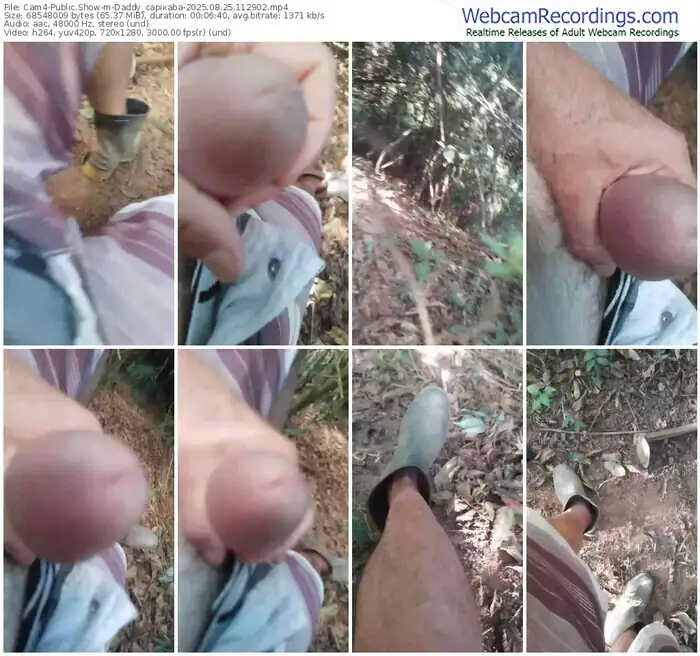 2025/08/25/cam4-daddy_capixaba-11-29-02