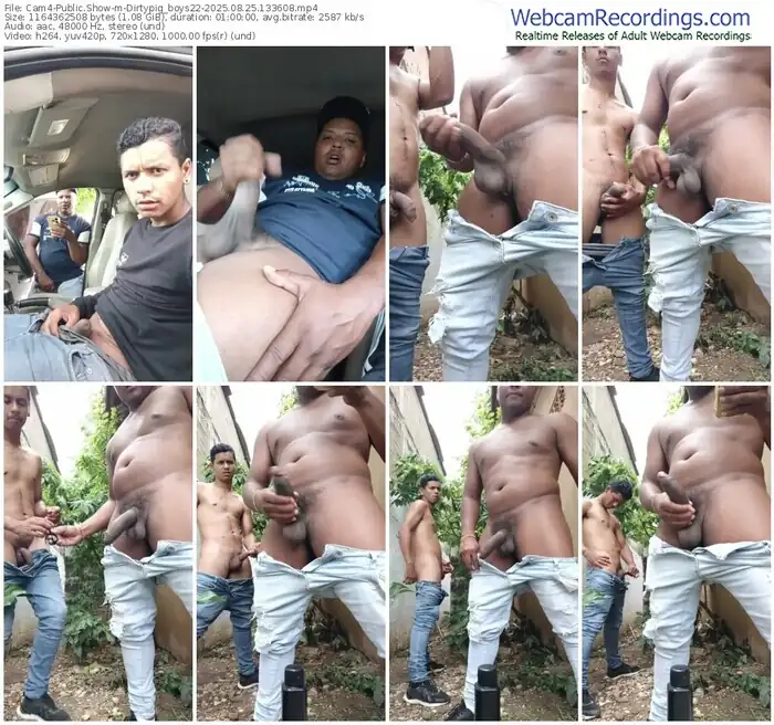 2025/08/25/cam4-dirtypig_boys22-13-36-08
