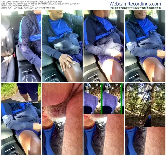 2025/08/25/cam4-likescock5-10-39-36