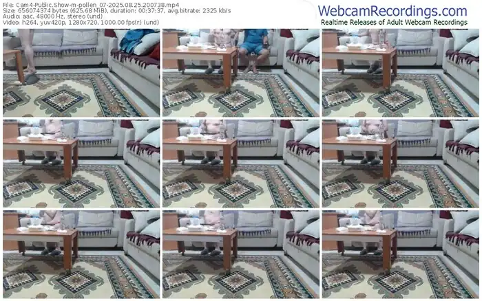2025/08/25/cam4-pollen_07-20-07-38