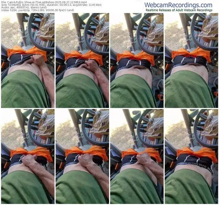 2025/08/27/cam4-thelastbebos-11-58-53