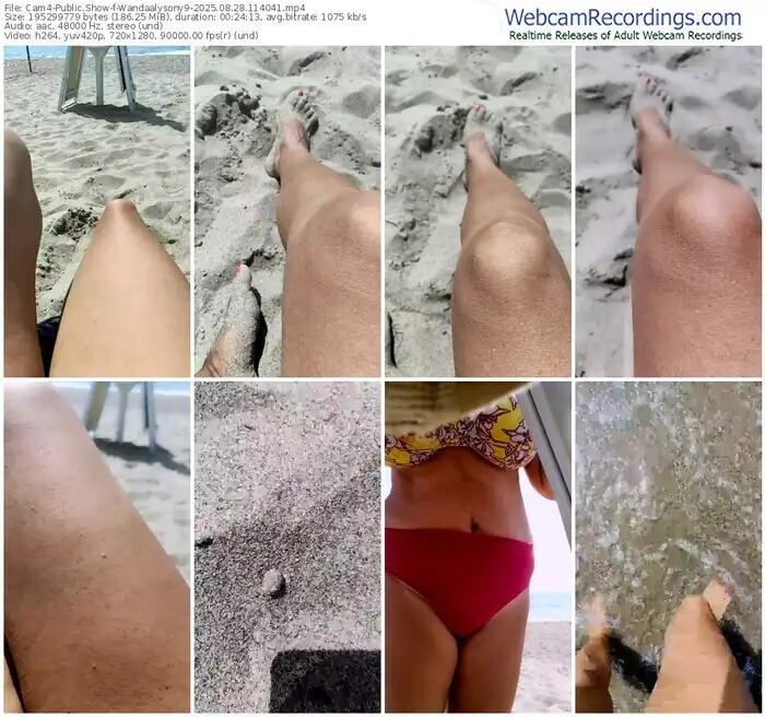 2025/08/28/cam4-wandaalysony9-11-40-41