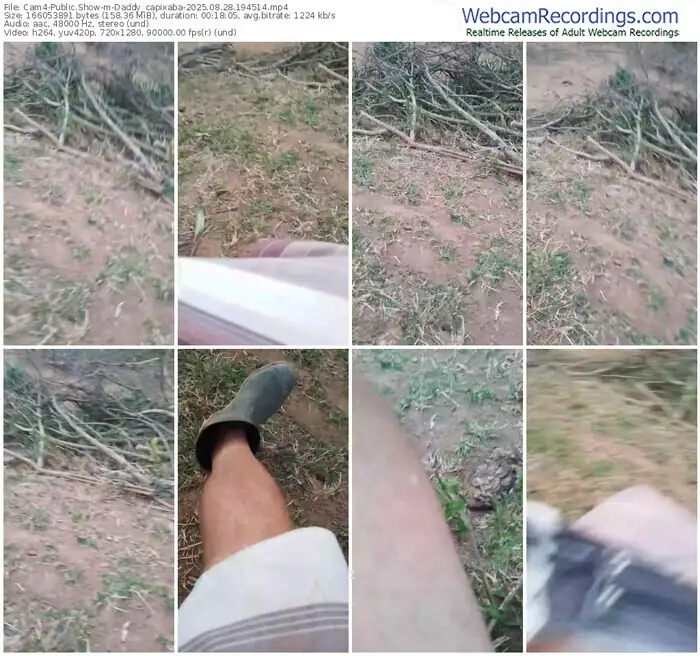 2025/08/28/cam4-daddy_capixaba-19-45-14