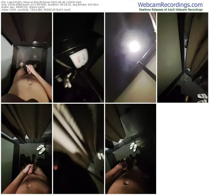 2025/08/28/cam4-playdickman-12-39-23