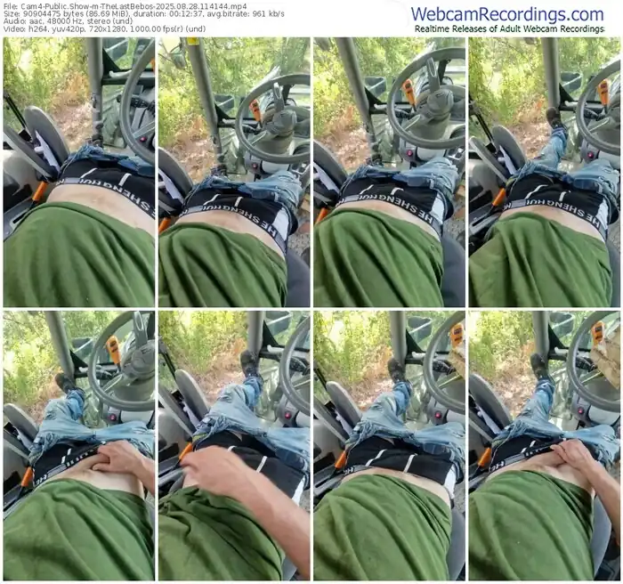 2025/08/28/cam4-thelastbebos-11-41-44