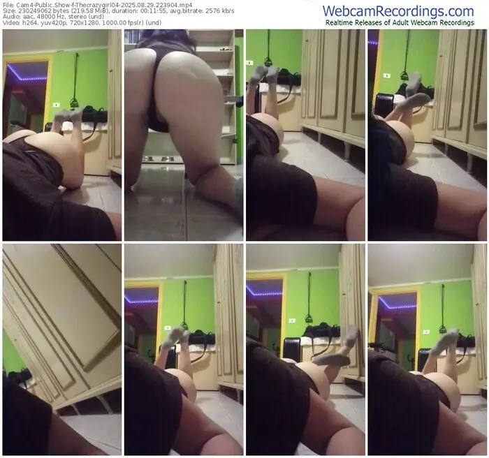 2025/08/29/cam4-thecrazygirl04-22-39-04
