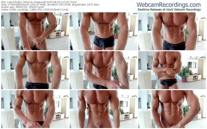 2025/08/29/cam4-onewoolf-11-12-57