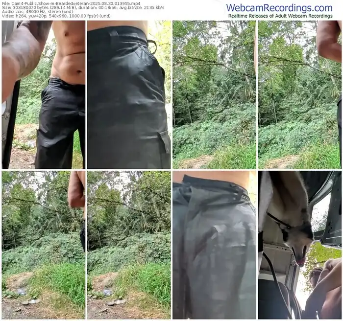 2025/08/30/cam4-beardedveteran-01-39-55
