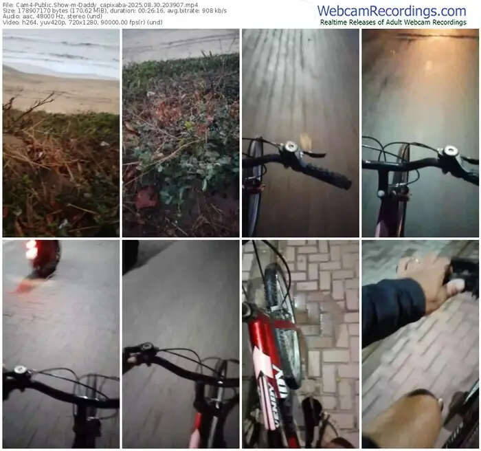 2025/08/30/cam4-daddy_capixaba-20-39-07