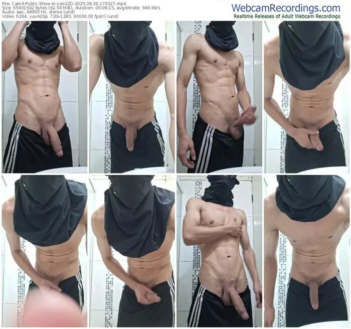 2025/08/30/cam4-leo22d-17-00-27
