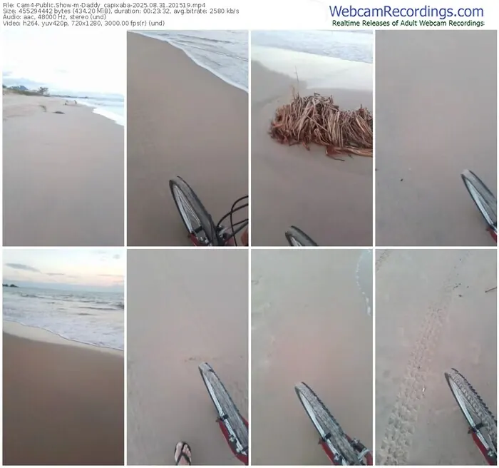 2025/08/31/cam4-daddy_capixaba-20-15-19