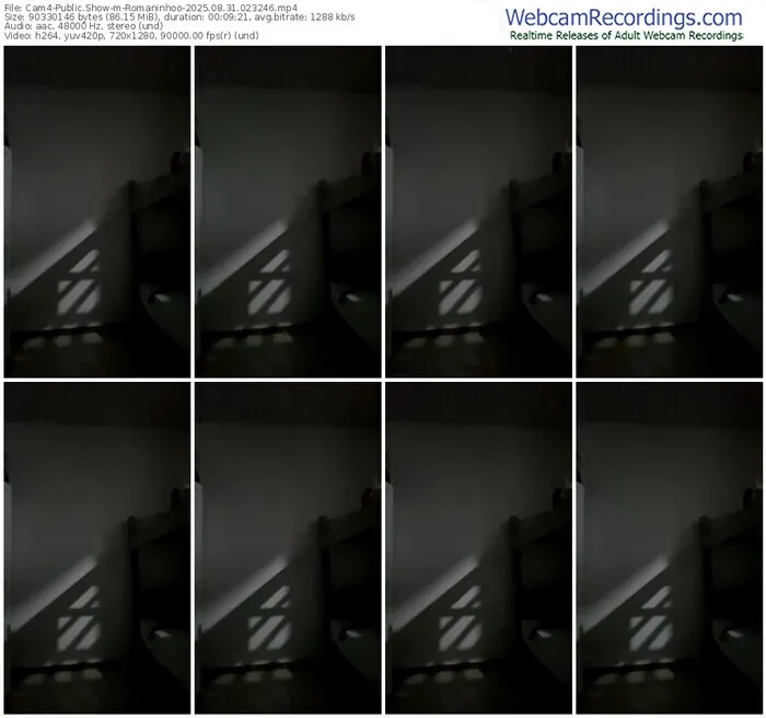 2025/08/31/cam4-romaninhoo-02-32-46