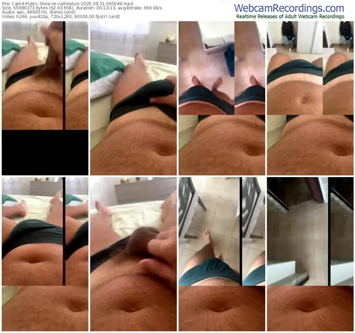 2025/08/31/cam4-callmeluis-09-50-46