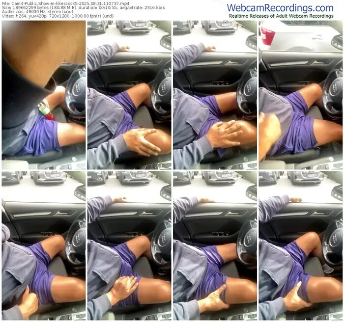 2025/08/31/cam4-likescock5-11-07-37