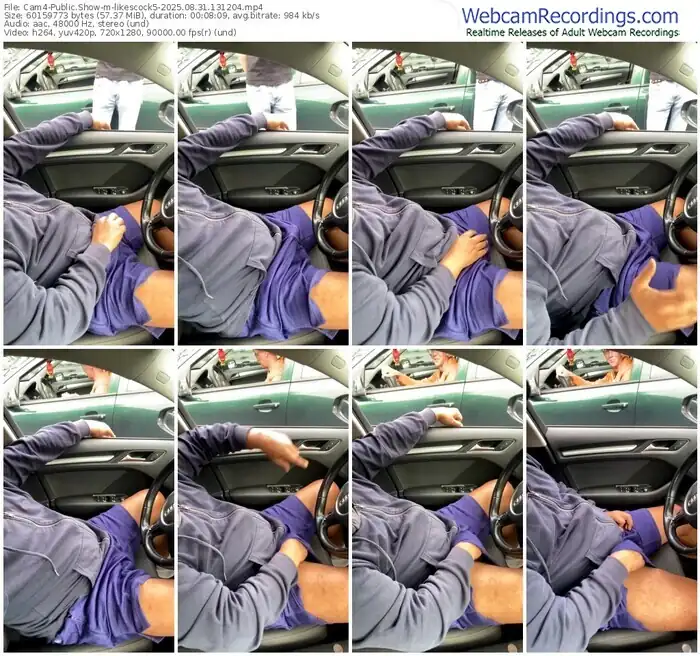 2025/08/31/cam4-likescock5-13-12-04