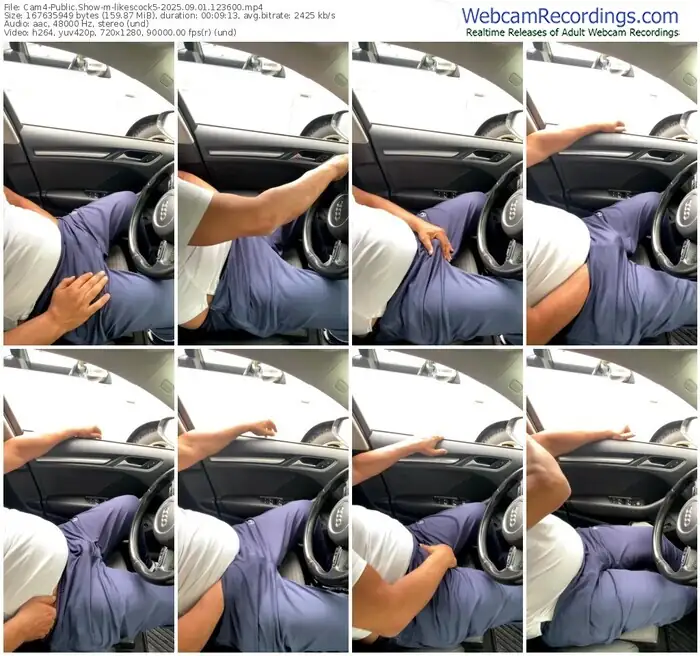 2025/09/01/cam4-likescock5-12-36-00