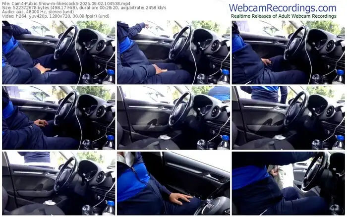 2025/09/02/cam4-likescock5-10-45-38