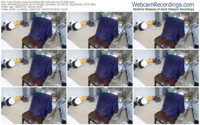 2025/09/03/cam4-anthrotw-15-19-08