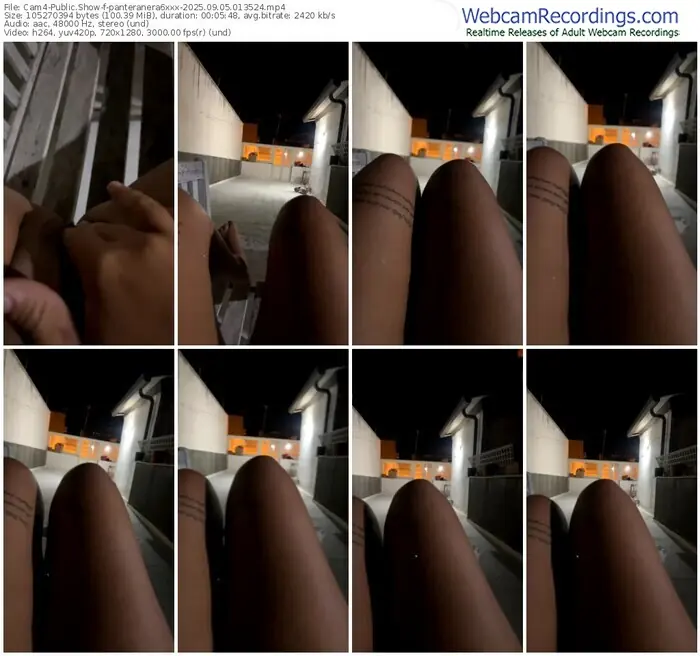 2025/09/05/cam4-panteranera6xxx-01-35-24
