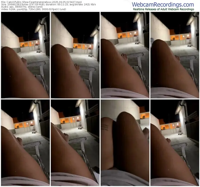 2025/09/05/cam4-panteranera6xxx-01-54-27